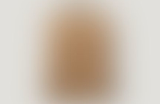 Artist Assets
